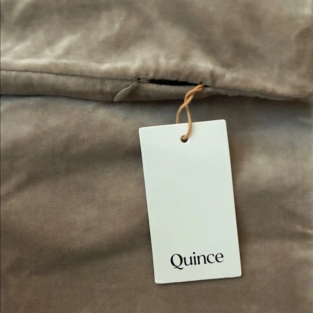 Quince Taupe Velvet Pillow‎ Cover